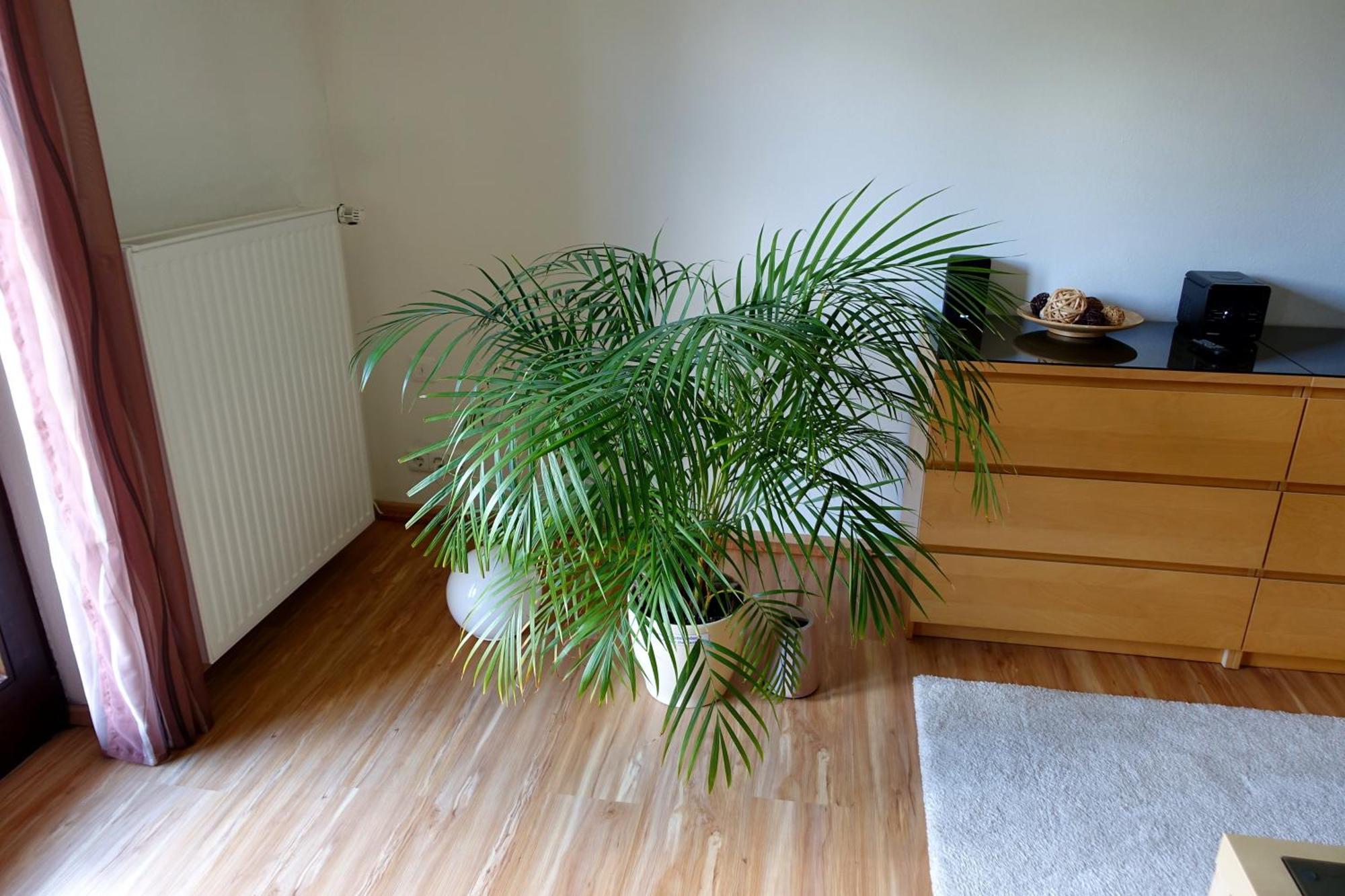 Ferienwohnung Ariane Гарміш-Партенкірхен Екстер'єр фото